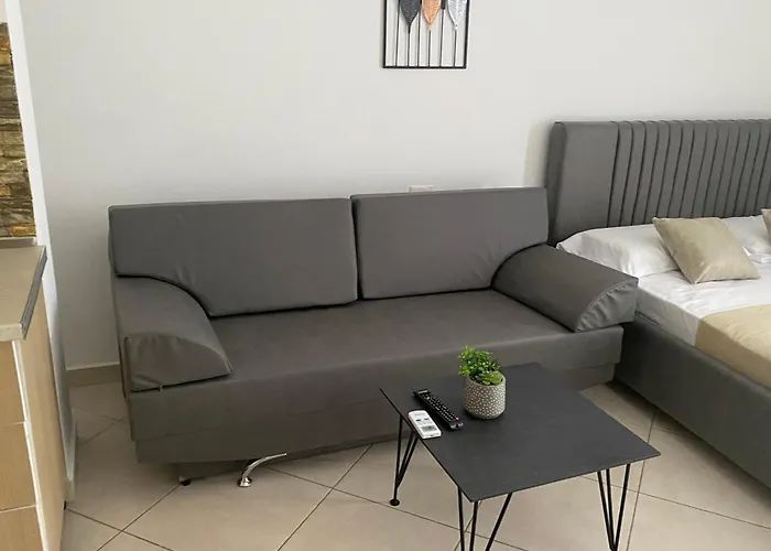 Niko Shengjin * Lezhë